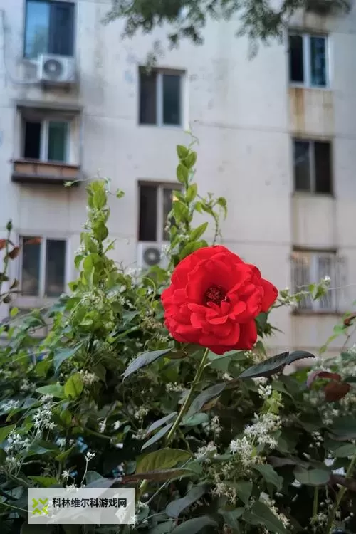 探索未来支付新体验：梓旭卡盟乐卡站全新升级亮相图1