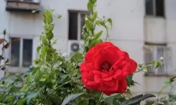 探索未来支付新体验：梓旭卡盟乐卡站全新升级亮相