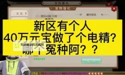 问道宠物进化元宝计算指南与实用技巧