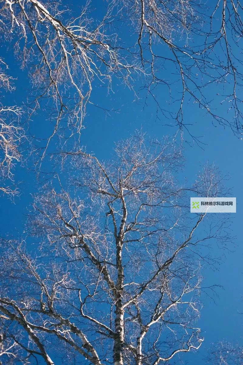 大都督双开挂机软件推荐 怎么双开大都督详细图文教程图2