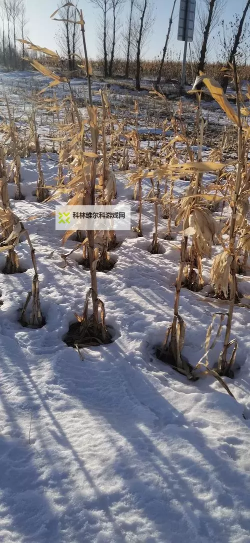 大都督双开挂机软件推荐 怎么双开大都督详细图文教程图1