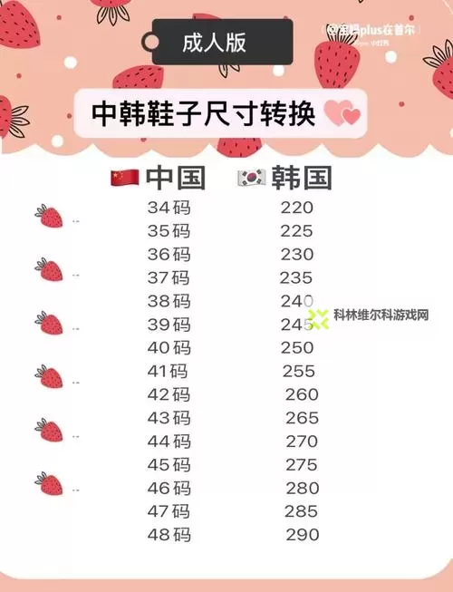 韩国尺码电费免费吗现在:最新政策解析图1