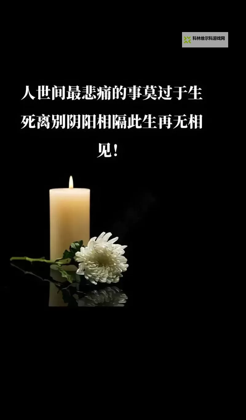 回顾2019:手机天堂的黄金时代与经典机型推荐图1