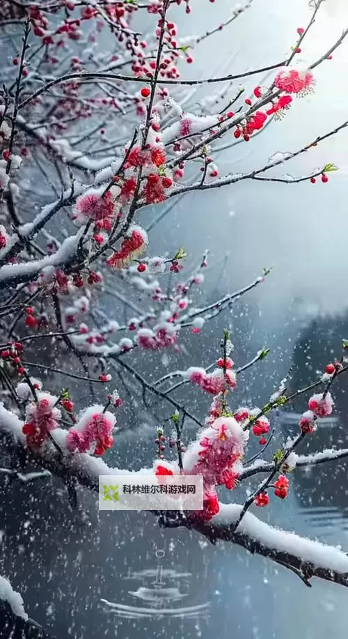 浴火战线双开挂机软件推荐 怎么双开浴火战线详细图文教程图1