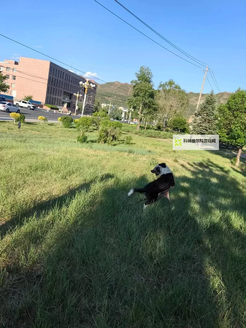 岳女共夫同床：古代家庭伦理中的复杂互动图1