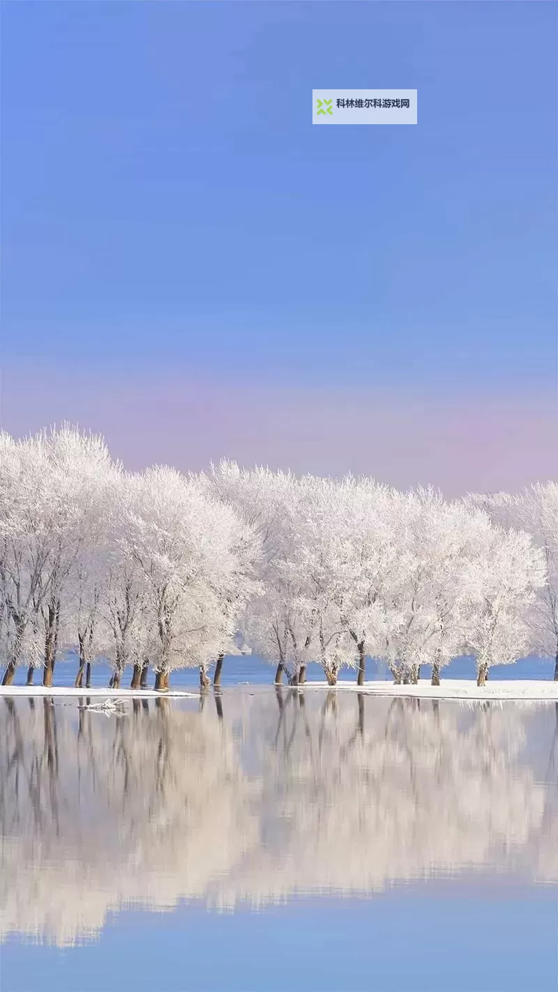 浴火战线双开挂机软件推荐 怎么双开浴火战线详细图文教程图2