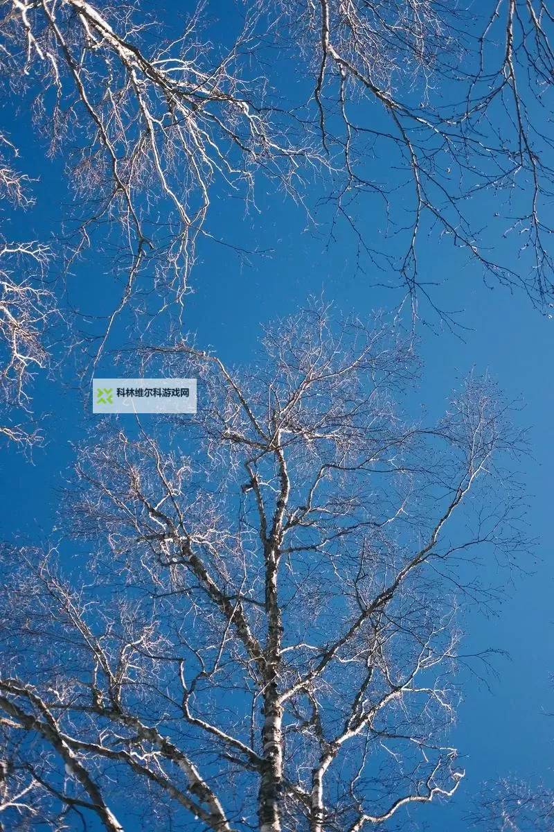 大都督双开挂机软件推荐 怎么双开大都督详细图文教程图1