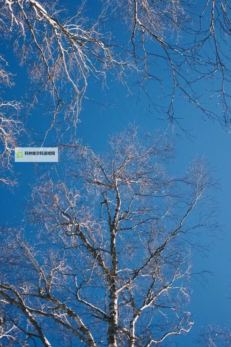 大都督双开挂机软件推荐 怎么双开大都督详细图文教程图1