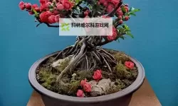 优质RB灌溉JY系统助力海棠高效生长