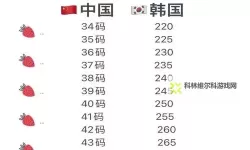 韩国尺码电费免费吗现在：最新政策解析