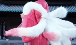 1688.tv妲己直播改名叫什么了？最新昵称更新全揭秘