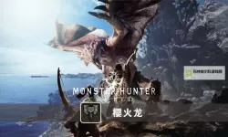 《怪物猎人世界》是单机还是网游