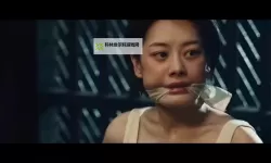 【最新推荐】免费在线观看在线视频国产第一页，开启精彩视听盛宴