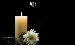 回顾2019：手机天堂的黄金时代与经典机型推荐