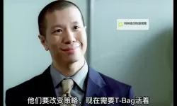 越狱第二季百度影音免费在线观看高清完整版介绍