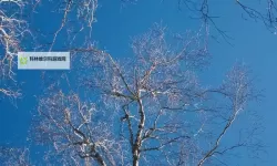 大都督双开挂机软件推荐  怎么双开大都督详细图文教程