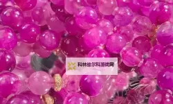 探索激情与深度：97seseav桃红一区的精彩世界