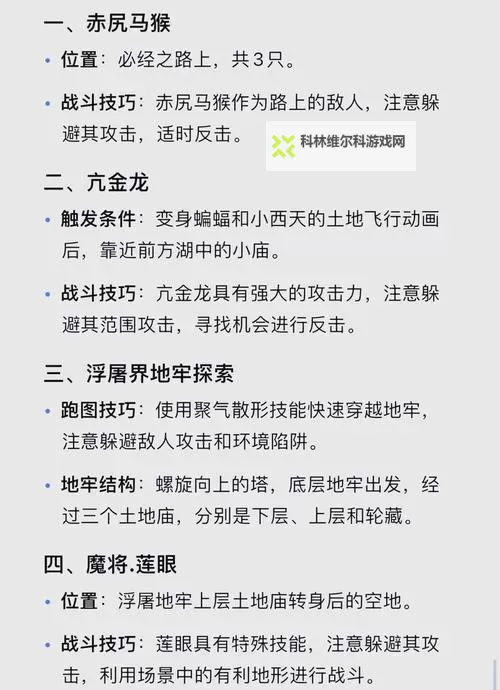 《黑神话悟空》无限四蓄流BUG玩法攻略 无限四蓄流BUG怎么操作图1