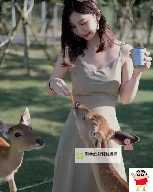 关于「99热这里只有精品11.」的最新资讯与全面指南图1