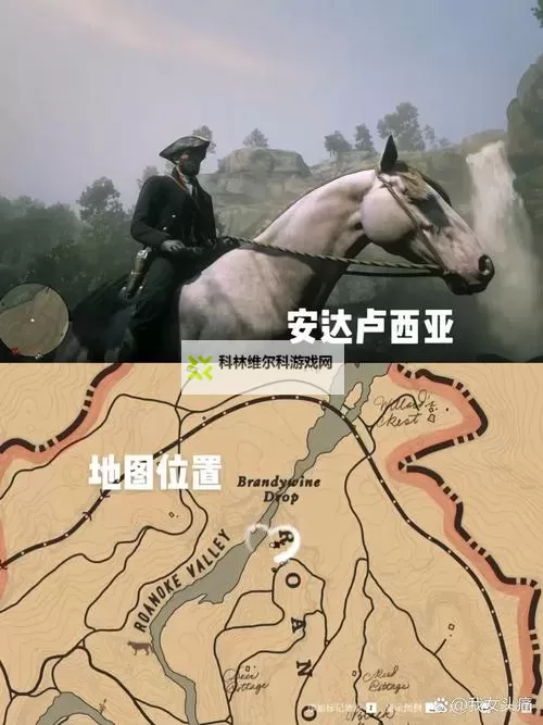 《荒野大镖客2》马匹系统全解 马匹驯服方法、属性及默契等级详解图1