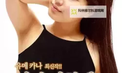 亚日韩三级在线观看免费高清体验推荐