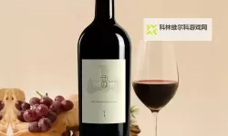 精彩纷呈：国产精品2022曰回顾与展望