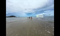 《暴风雨》登船战玩法技巧及资源物品价格表一览