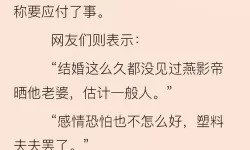 岳伦免费看小说：绝佳阅读体验尽在这里