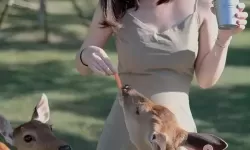 关于「99热这里只有精品11.」的最新资讯与全面指南