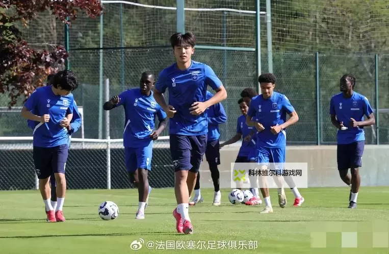 FIFA 15 暴力型推土机前锋球员推荐 哪些球员比较强壮图1