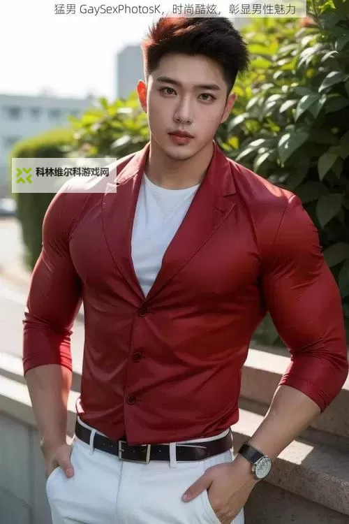 探索“chinesegaysexchitugay”的多元文化与社会背景图1