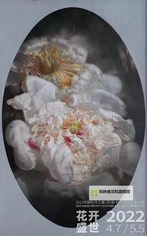 探索中国超大但人文艺术视频:宏伟背后的文化韵味图1