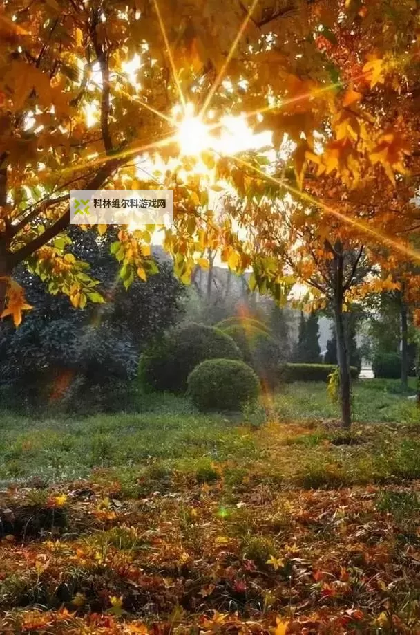 《勇者斗恶龙英雄2》小金币获得方法及兑换道具一览 小金币怎么获得图2