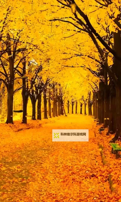 《勇者斗恶龙英雄2》小金币获得方法及兑换道具一览 小金币怎么获得图1