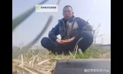 在迷茫中学会自己坐下去：寻找心灵的港湾