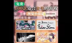 十大视觉小说盘点 有哪些好玩的视觉小说游戏