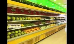 《贪吃水果》新手攻略：模拟装修玩法介绍