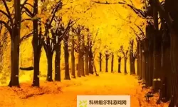 《勇者斗恶龙英雄2》小金币获得方法及兑换道具一览 小金币怎么获得