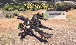 《怪物猎人世界》锁白长枪配装与输出手段