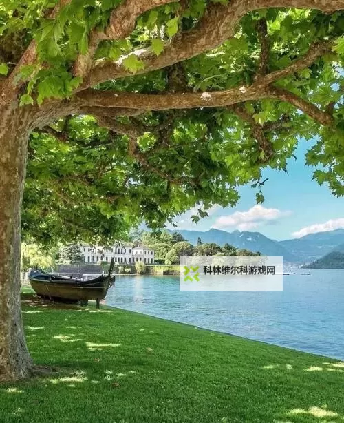 新sss免费视频资源：数字时代的边界与记忆的散文诗图1