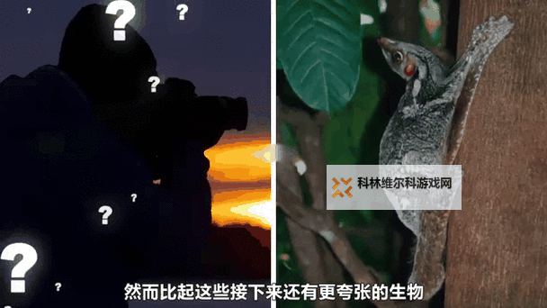 《无人深空》奇特生物一览 长相怪异生物解析图1