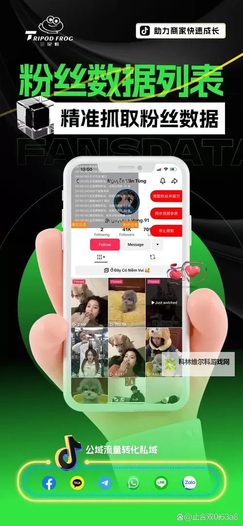 探索精彩内容：真乐网官网全面指南图2