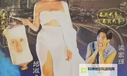 透视台湾三级片网：产业格局、监管挑战与观众生态