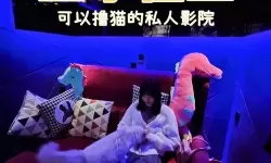 夜幕下的光影之门：撸撸社在线看影视入口免费直接观看，开启免费观影之旅