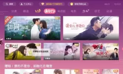 穿越数字海潮：亚洲稀缺国产视频网站的生存笔记