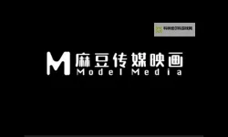 国产传媒专区：用镜头讲述中国故事的新港湾