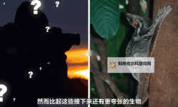 《无人深空》奇特生物一览 长相怪异生物解析