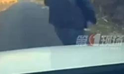 走一步故意深深地撞一下视频：究竟是技巧挑战还是危险行为？