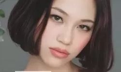 亚洲 国产 日韩在线 精品：跨区域品质与设计盛宴