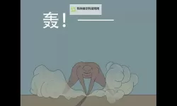 我们是害虫电脑版下载 横向测评：电脑玩我们是害虫模拟器推荐